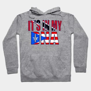 Puerto Rican And Trinidad Mix DNA Heritage Flag Gift Hoodie